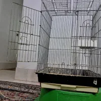 قفس کاسکو.میله ضخیم. قفس بزرگ|لوازم جانبی حیوانات|مشهد, شهرک مهرگان|دیوار