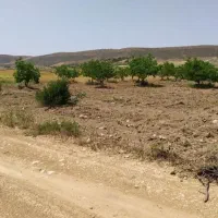 باغ-شهری-شهرک-سلامت-شیراز