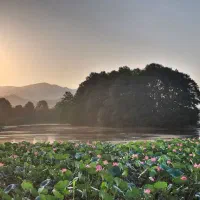 مستقل ۱۱۰متری کوهپایه