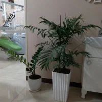 استخدام دستیار و منشی دندانپزشکی