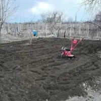 شخم‌زنی وعلفزنی،خسروشاه واطراف