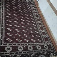 فرش دست بافت ترکمنی|فرش|بندر ترکمن, |دیوار