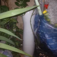 سنگ روشویی بزرگ