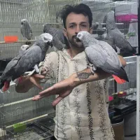 بورس کاسکو ایران در شرق تهران