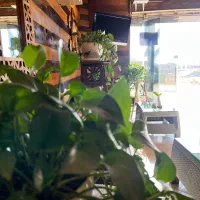 نیروی کار در کافیشاپ