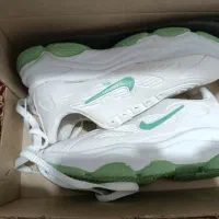 ک.ف.ش ارزانکده