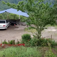 ویلا شمال اجاره|اجارهٔ خانه و ویلا|نشتارود, |دیوار