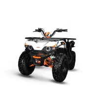 کایو 180 نیو فیس