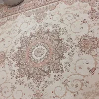 فرش کرم سالم سالم