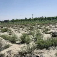 زمین فروشی|فروش زمین و ملک کلنگی|مشهد, اسماعیل آباد|دیوار