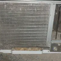 کولرسوپرا