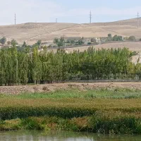 زمین گردشگری روستای الماس|فروش زمین و ملک کلنگی|اردبیل, |دیوار