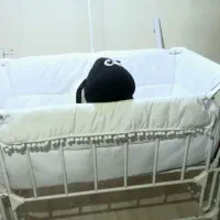 تخت کنار مادر و گهواره فلزی با کیفیت چرخ دار|اسباب و اثاث بچه|اصفهان, جوزدان الیادران|دیوار
