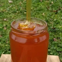 عسل طبیعی با ساکاروز بسیار پایین. دیابتی و درمانی|خوردنی و آشامیدنی|مشهد, عامل|دیوار