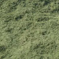 یونجه خورد شده درجه یک و عالی