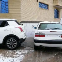 زانتیا مدل 89 بی رنگ کم کار کرد