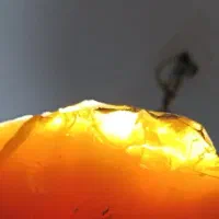 کهربا با چند عدد سنگ دیگر