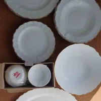 سرویس ارکوپال نو