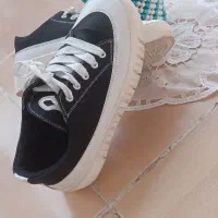 کفش اسپرت|کیف، کفش، کمربند|یاسوج, |دیوار