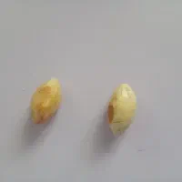 مهره‌
