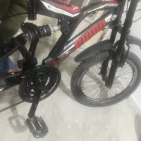 دوچرخه ۲۰پوما