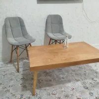 صندلی|میز و صندلی غذاخوری|شیراز, شهرک مهرگان|دیوار