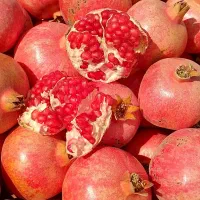 انار صادراتی درجه یک