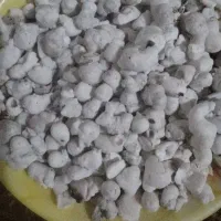 زاغ سوختن رفع چشم زخم رفع حسود رفع نظر سرکتاب