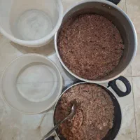 غذای آماده گربه