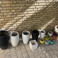 تعدادی گلدان