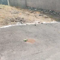 زمین ۱۳۲متری نایسرشهرک فرهنگیان|فروش زمین و ملک کلنگی|سنندج, |دیوار