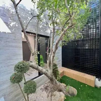 ویلای خاص و شیک / لوکیشن برند / نزدیک جنگل|فروش خانه و ویلا|چمستان, |دیوار