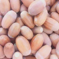 بلوط شیرین|خوردنی و آشامیدنی|ایلخچی, |دیوار