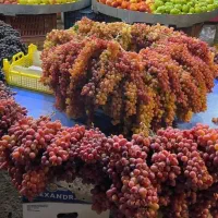 همکاری در میوه فروشی