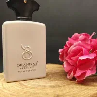 خوشبوترین ادکلن برندینی همگام شما در طبیعت