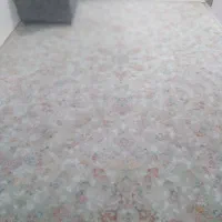 دوعددفرش۱۲متری