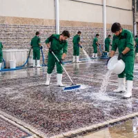 کارخانه قالیشویی مبل شویی(استاندار)سرویس رایگان