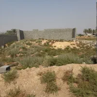 زمین روستایی محمد صالحی