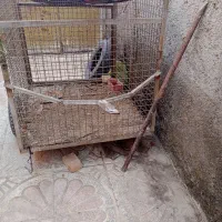 کاری|دوچرخه، اسکیت، اسکوتر|ملایر, |دیوار