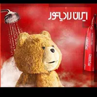 نصب وتعمیرات انواع پکیج وابگرمکن (بیات)