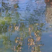 ماهی شب عید|ماهی|مشگین شهر, |دیوار