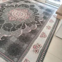 دو عدد فرش نو ۱۲متری پاتریس در حد ۶ ماه خریده شده|فرش|اصفهان, مصلی|دیوار