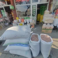 لوبیا اهر درجه یک