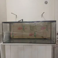 اکواریوم ریملس