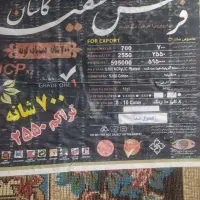 فرش دوازده متری کاشان|فرش|بندر انزلی, کلیور|دیوار