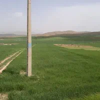 زمین خام جهت خانه باغ وویلا