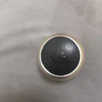 پلنگو منی