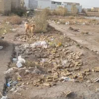 فروش-زمین-سرحانیه-دوم