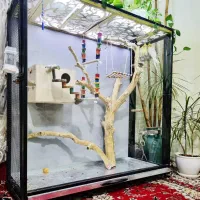 قفس پرنده.پرون