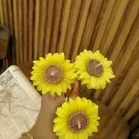 کدوهای فینگیلی جذاب|صنایع دستی و سایر لوازم تزئینی|اصفهان, ابر|دیوار